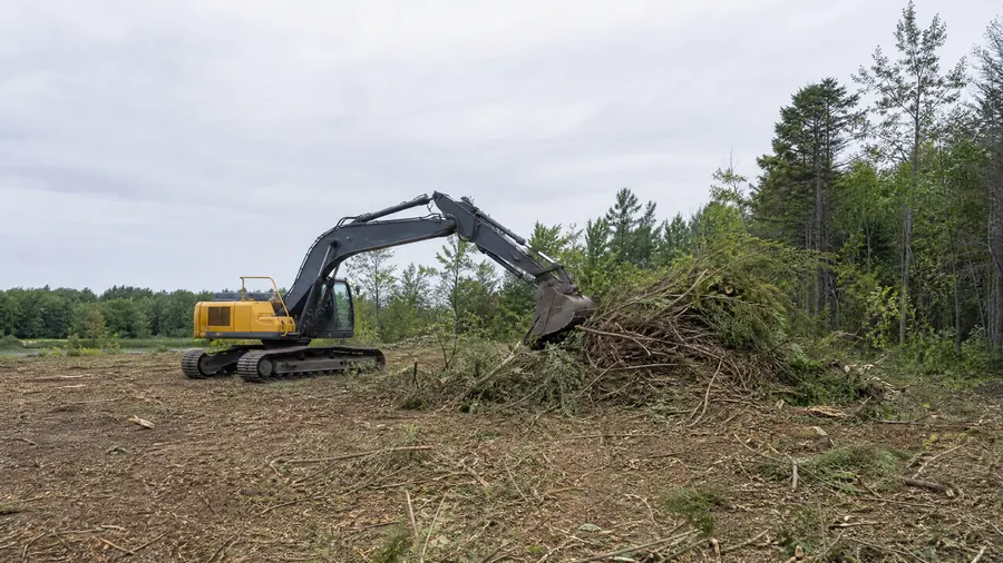 Excavator clearing brush